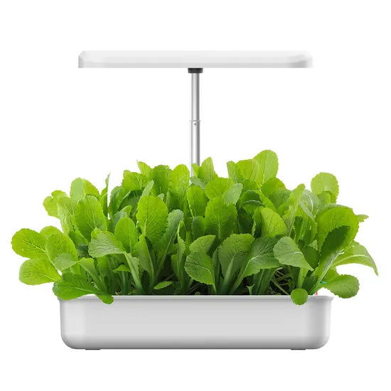 12 Pods Hydroponics Growing System, Support Indoor Grow, Herb Garden Kit Indoor, Grow Smart for Plant, Built Your Indoor Garden ODM OEM