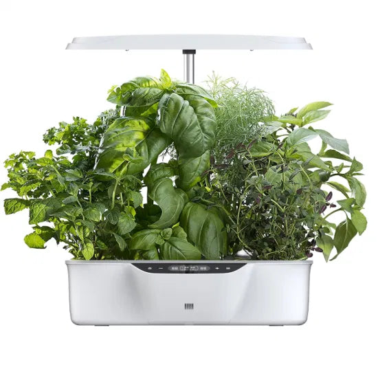 Growing System, Support Indoor Grow, Herb Garden Kit Indoor, Grow Smart for Plant, Built Your Indoor Gardenfcc CE ODM OEM