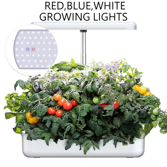 10 Pods Hydroponics Growing System, Support Indoor Grow, Herb Garden Kit Indoor, Grow Smart for Plant CE FCC ODM OEM