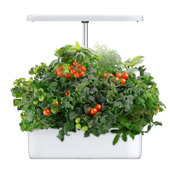 Hydroponics Growing System Indoor Herb Kit Indoor Smart for Plant