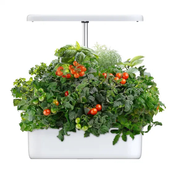 Hydroponics System Indoor Grow Kit Indoor