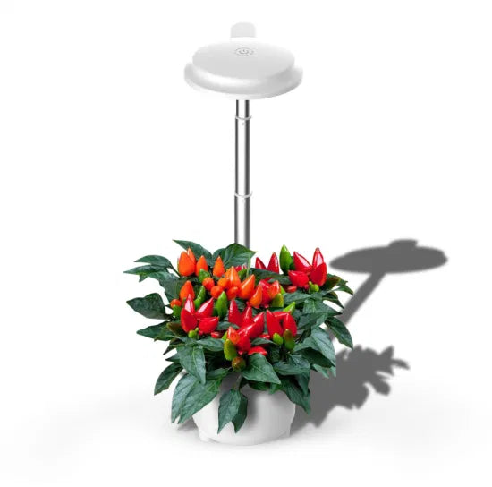 Indoor Herb Garden Starter Kit for Beginners, Easy to Use, Silver, 3 Pots.