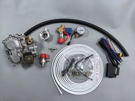 Nigeria Tricycle Moto Kit 4/6/8 Sequential Cylinder CNG Conversion Kit for Car