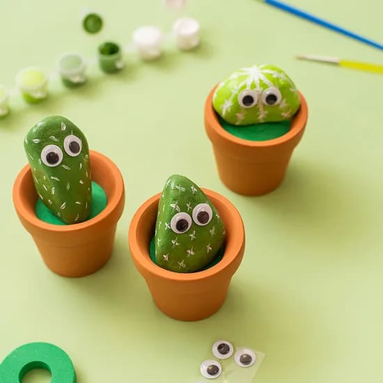 Kid Toy Set Color Box Kid Gift Stone Art DIY Cactus Rock Toy Galaxy Rock Painting Kit