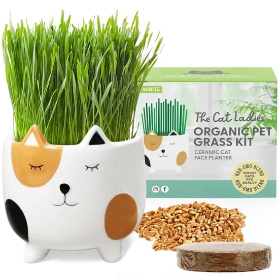 Modern Country Cat Grass Kit with Mug